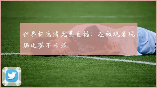 世界杯高清免费直播：在线观看现场比赛不卡顿