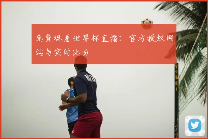 免费观看世界杯直播：官方授权网站与实时比分