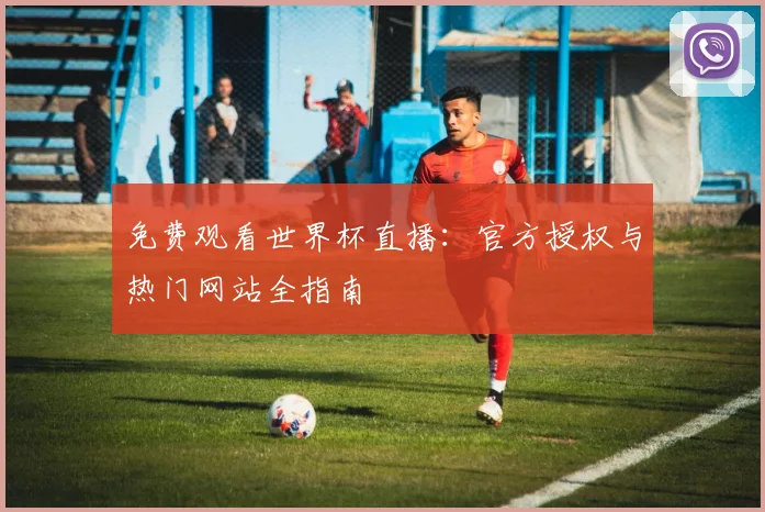 免费观看世界杯直播：官方授权与热门网站全指南